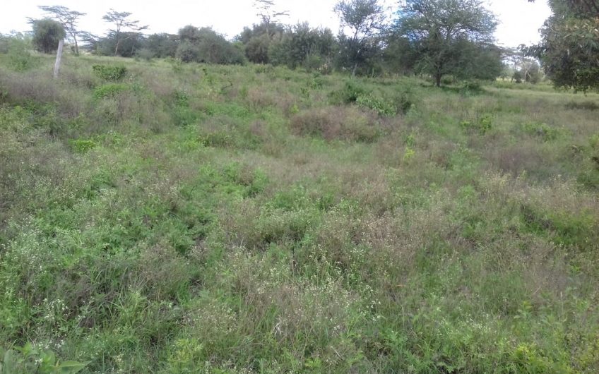 Athi River Plots